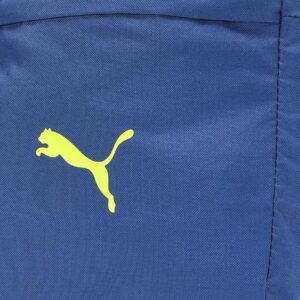 Fujifilm INSTAX LINK WIDE